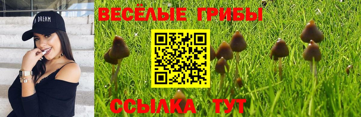 Галлюциногенные грибы MAGIC MUSHROOMS Корсаков