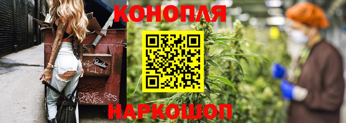 Бошки марихуана тримм  Бошки марихуана VHQ  Корсаков  Вход с VPN  Шишки марихуана планчик 